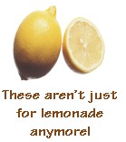 lemons.jpg (7653 bytes)